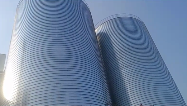 鄢陵2座混凝土高架卷板仓